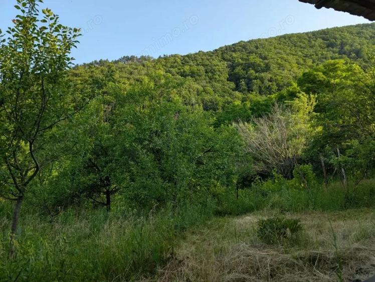 Sarata Bai- Oportunitate investi?ie- 4038 mp- priveli?te spectacol - 11