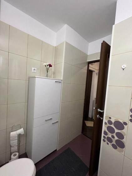 Inchiriere apartament 2 camere, langa statia de metrou Brancoveanu si parcul Tineretului - 8