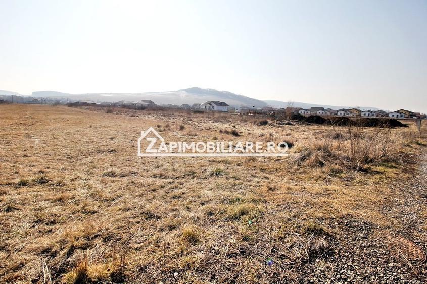 Teren  Intravilan 2.075 mp. 59.euro mp.Sangeorgiu de Mures - 3