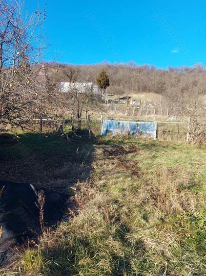 Vand casa la tara - 3