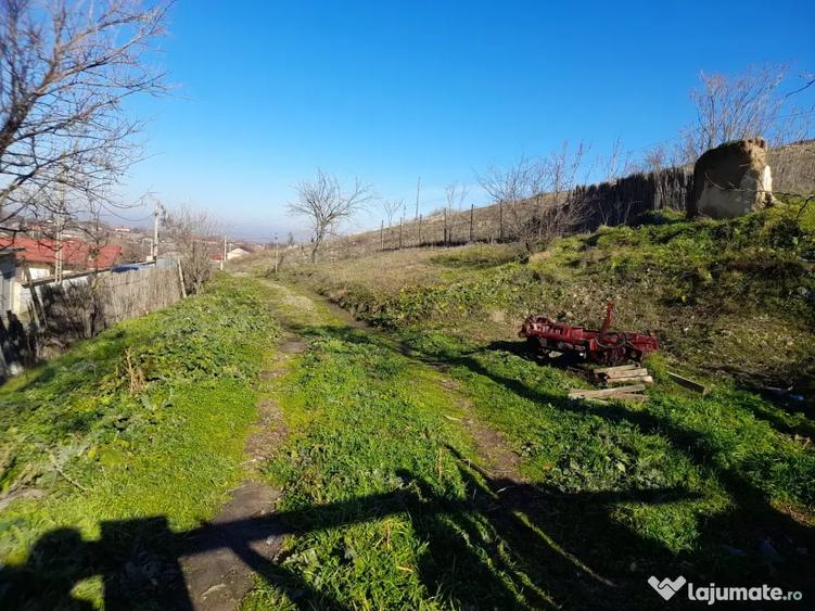 Teren de 600 mp, în Niculițel