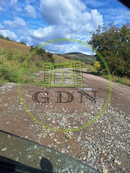 Teren extravilan 700mp in Gusterita. - 4