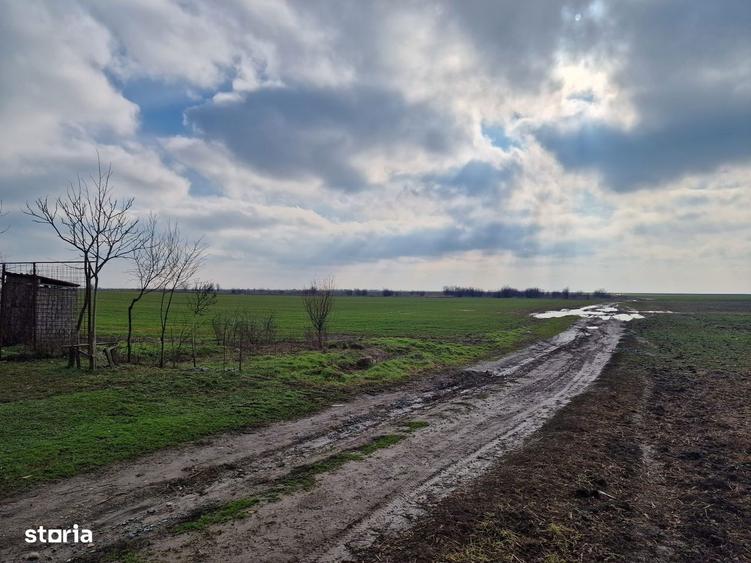 Teren intravilan Frumu?ani 14.635 mp, langa TSV, parcelabil - 2