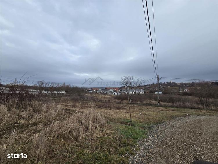 Teren intravilan,dublu front,Paleu,Oradea,Bihor - 1