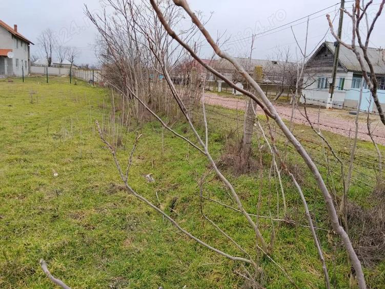 Vanzare teren intravilan in Jurilovca - Tulcea - 5