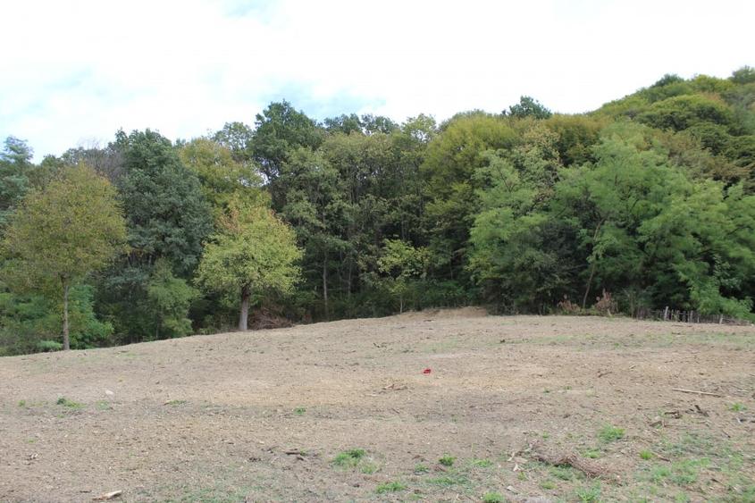 Casa si teren 5.000 mp, Stroesti - 6