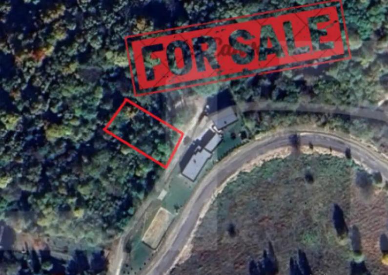 Teren de investitie 1256 mp - 3