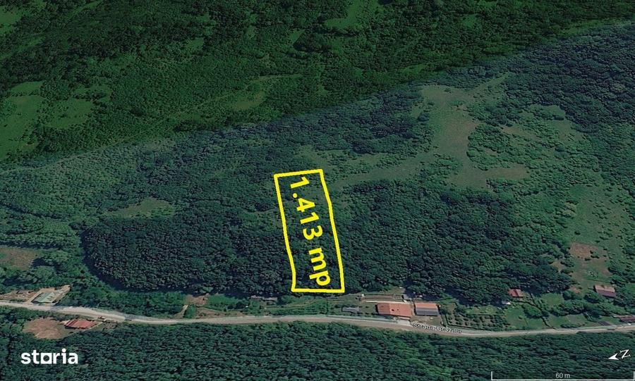 1.413mp extravilan Valea Vetelului zona retrasa - 8