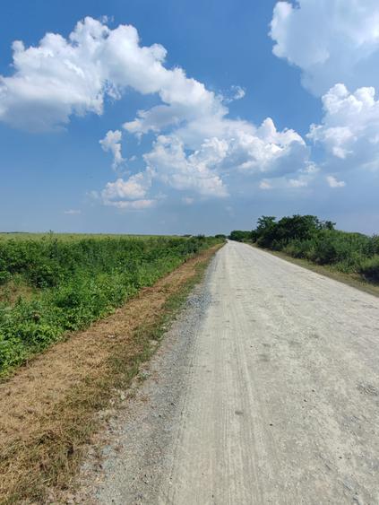 Corbeanca-teren-PUZ-proiect-avans cu rest de plata in 5 ani - 9