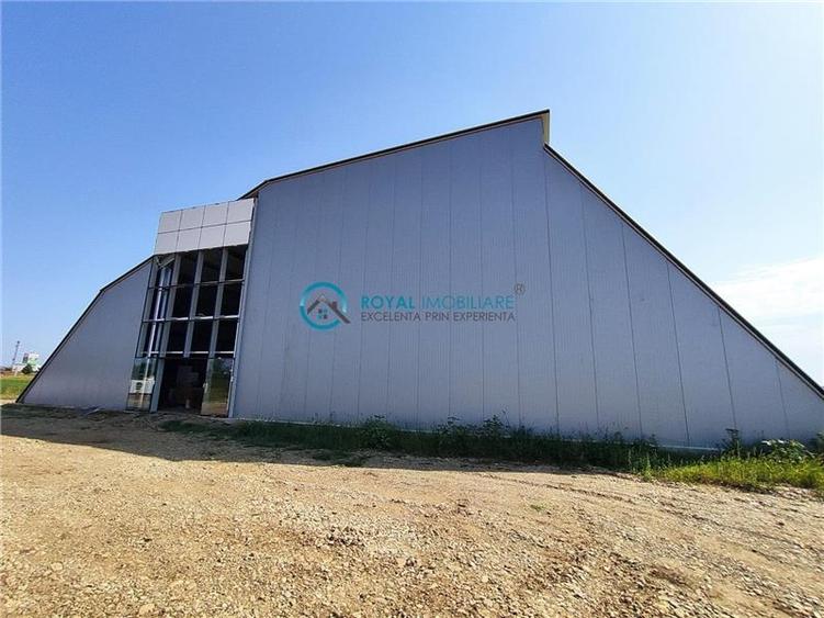 Royal Imobiliare - Inchirieri Spatii industriale/ Hale - 7