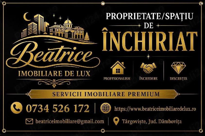 Agentia Beatrice Imobiliare de Lux - 3