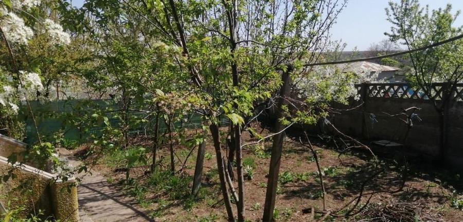 Casa cu teren 789 metri patrati Cismele - 5