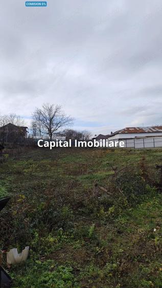 Teren Intravilan Baicoi 1061 mp - 4