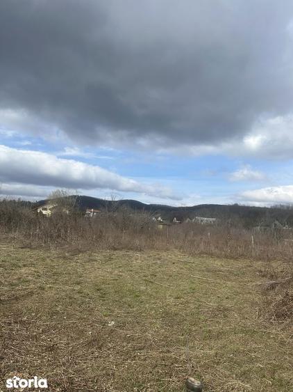 BANESTI - teren intravilan - 1035mp - 50 Euro/mp - 3