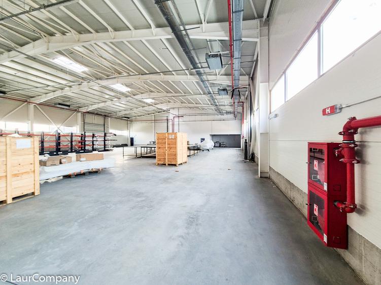 Hale,spatii industriale Albota,Pitesti Arges - 6