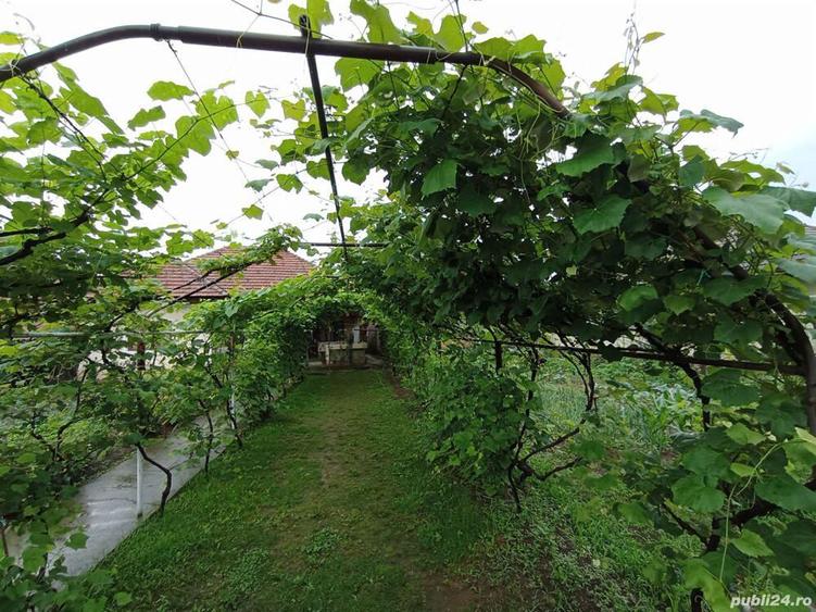 Vanzare casa situata in comuna Pestisani - Sat Borosteni, Jud. Gorj - 5