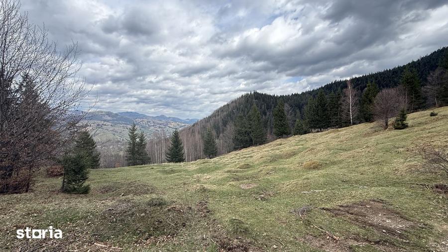 Teren izolat fara vecini, inconjurat de padure, 1.02 ha - 4