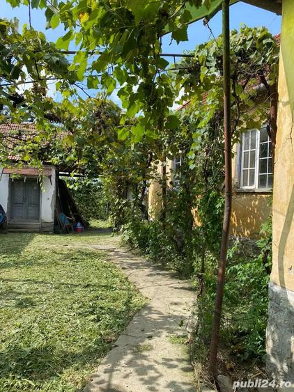 casa de vanzare in Vadu Crisului - 7