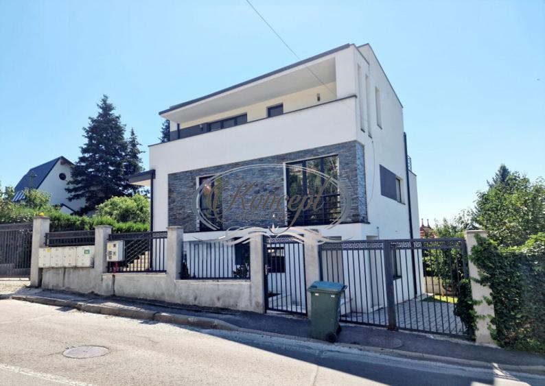 Sediu profesional sau locuinta, cu terasa panoramica in Grui - 2