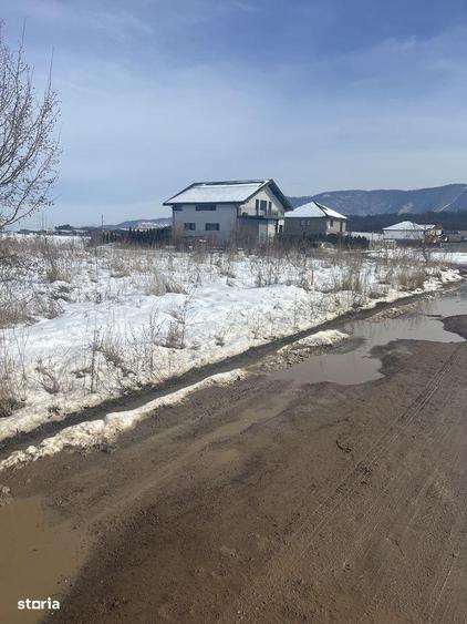 TEREN IDEAL PENTRU CASA VISURILOR TALE - 4