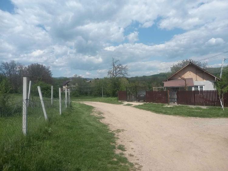 Teren intravilan 1700 mp - Drajna de Jos, Poiana Mierlei 15/mp, neg - 5
