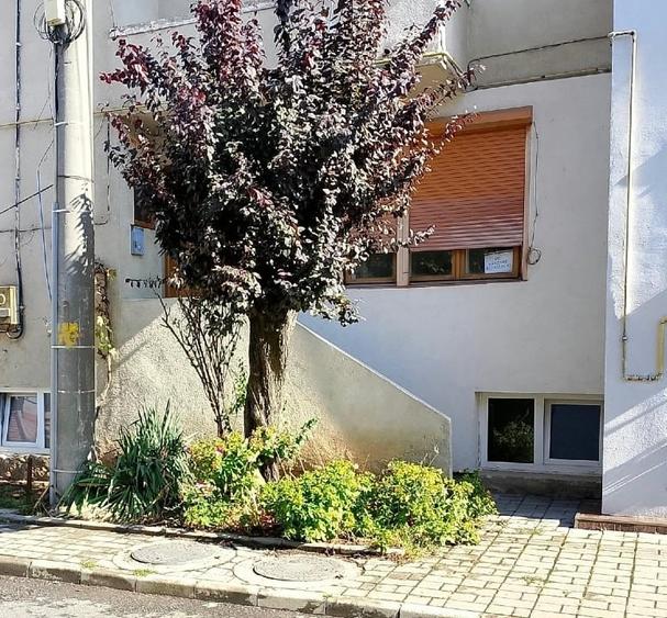 Duplex cu 3 camere cu Garaj în Luncă