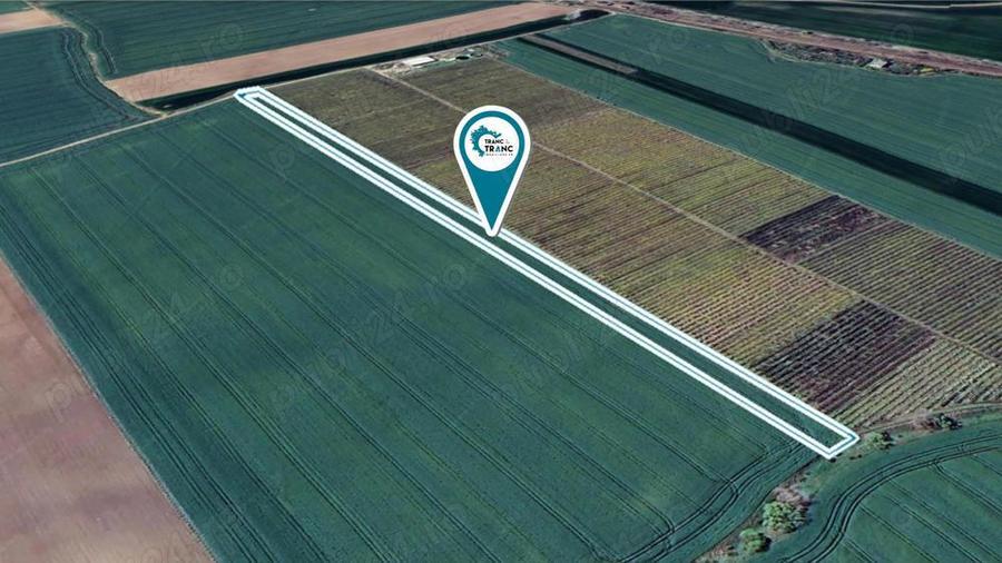 Teren agricol de 1 ha in Zimandu Nou - 2
