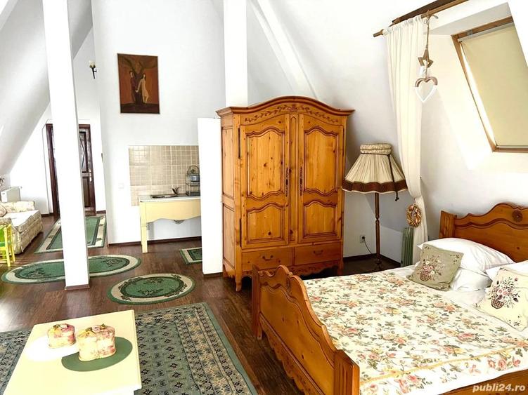 Pensiune agroturistica de vanzare in localitatea Horodnic de Sus jud.Suceava - 5