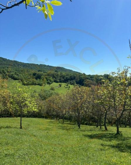 Terenuri 12.225 mp - Ramnicu Valcea, Aranghel - 5