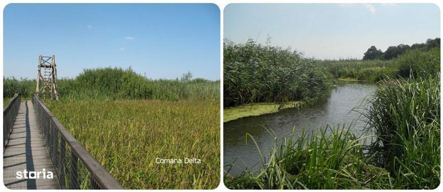 Comana intravilan, ultim lot (din 15), Delta, gaze, privat credit/rate - 6