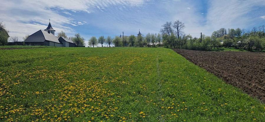 4714mp intravilan, Bradatel Vale, com. Horodniceni, jud. Suceava - 3
