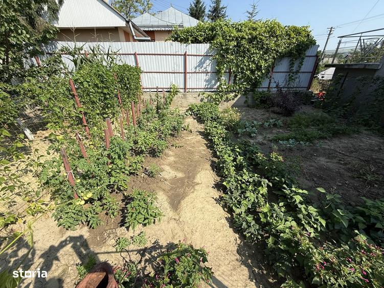 Casa central, Podu Iloaiei, la strada principala - 8