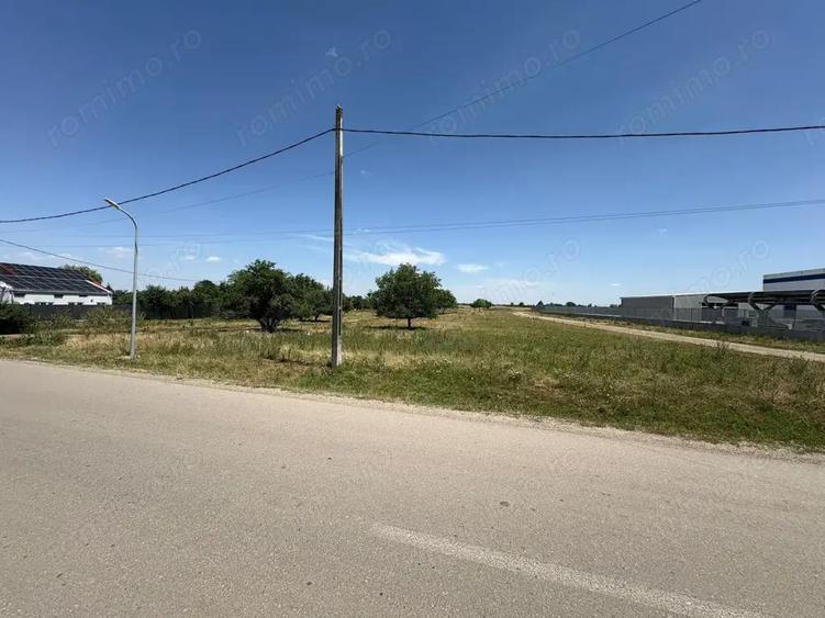 Teren intravilan de vanzare 10.000 mp Brane?ti, Ilfov Str. Garii - 4