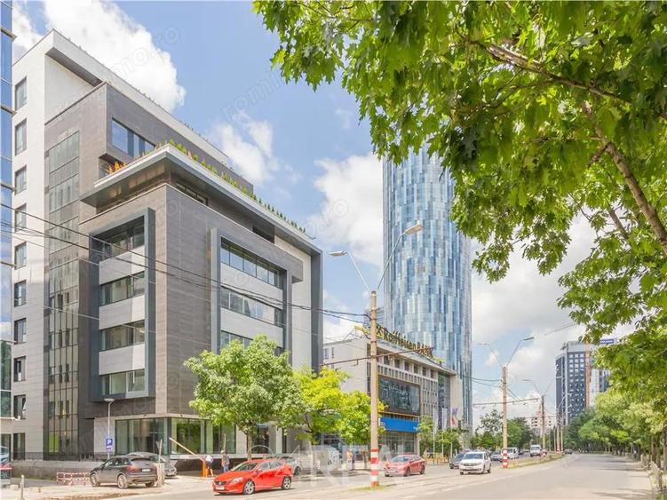 Zone 313 spatii de birouri - 3