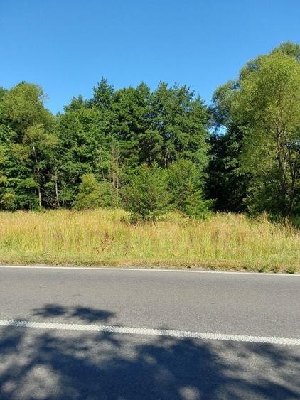 TEREN INTRAVILAN &Icirc;N MARGA-LA DN68 JUD.CARAȘ-SEVERIN - 3