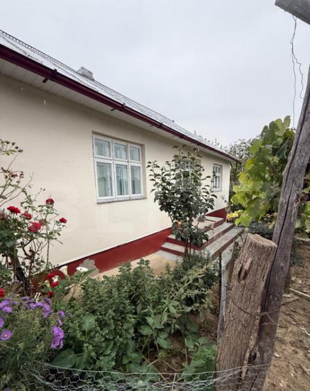 Casa batraneasca, 65 mp si teren intravilan 5600 mp, Adancat - 5