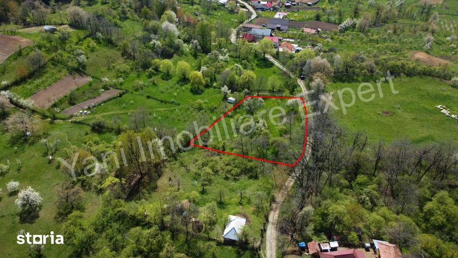 Teren de vanzare in comuna Cepari, sat Carpeni?, jude? Arge?. - 7