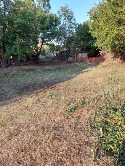 Teren intravilan DN72 /deschidere 29ml ideal business/ investitie - 3