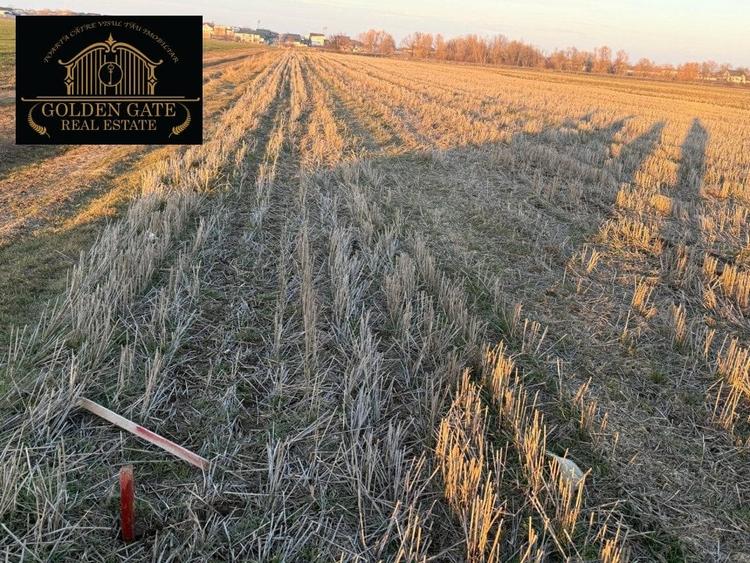 COMISION 0 Berceni Vidra - Teren 5147mp Parcelabil Investitie - 1