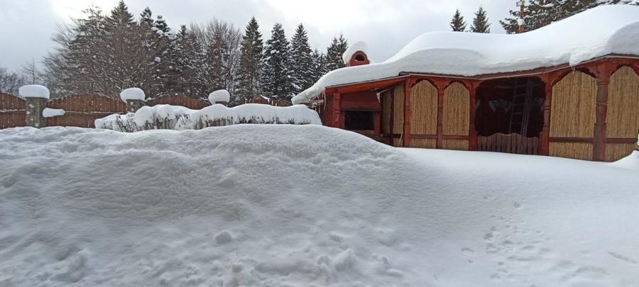 Casa de vacanta sau pensiune situata langa Cabana Trei Brazi Predeal - 48