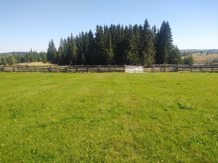 Teren intravilan in Maguri, 3538 mp,zona excelenta, cu potential ! - 1