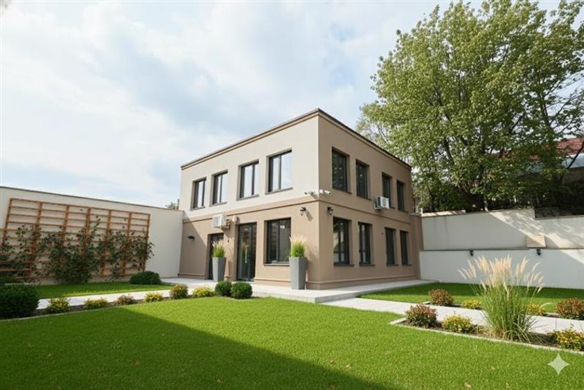 Spatiu Comercial Valea Lupului 158 mp - 1