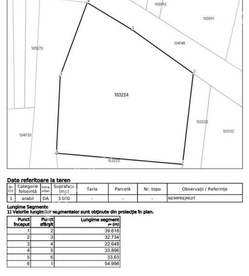 Teren intravilan de 3000 mp cu utiltati si PUZ in Paltinis Judet Sibiu - 7