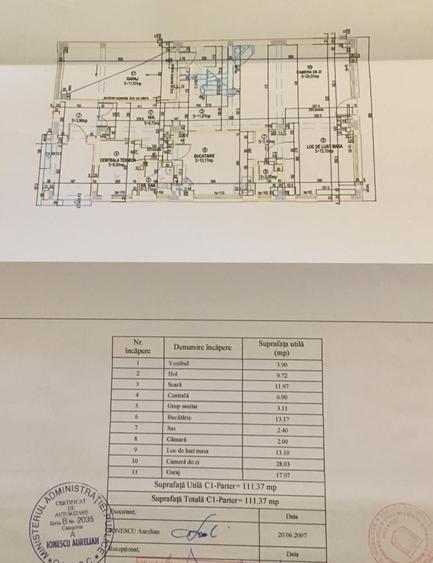 Jiului-Coralilor-Damaroaia,eleganta,robusta,garaj,curte intima,vegetatie matura - 45