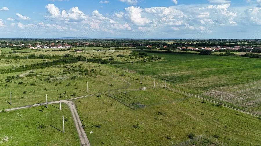 Terenuri zona MOSNITA NOUA - ALBINA . - 5