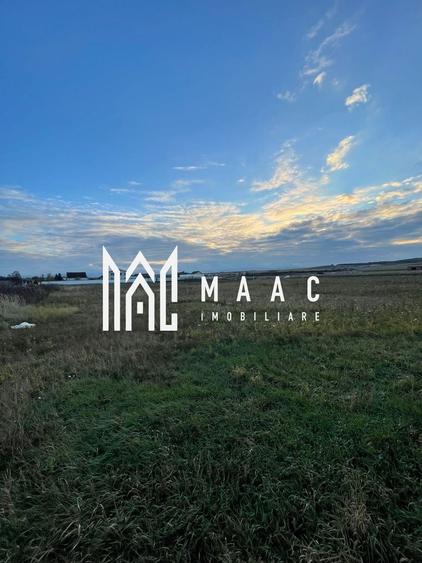 Teren intravilan | 2.100 mp  | Șura Mică - 6