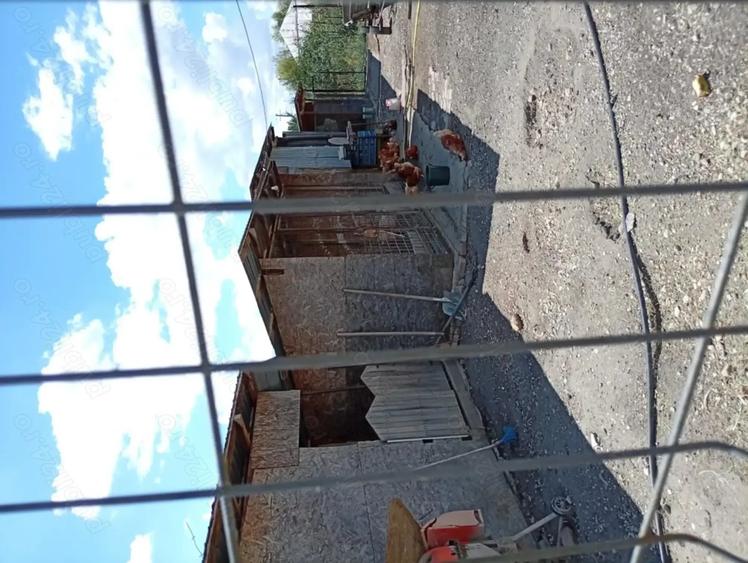 Vinde casa in comuna Valea Mare Olt - 8