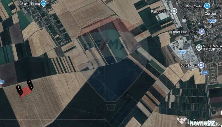 Teren extravilan 46,300mp Curtici - 3