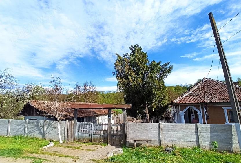 Casă cu Teren 2480 Mp în Păltinișu