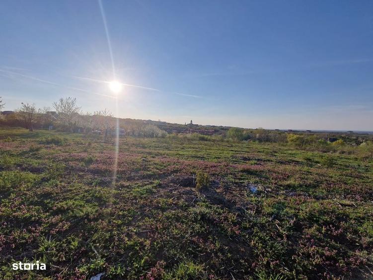 Teren de 3100 mp, în Paleu